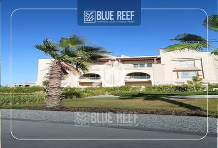 2 Bedroom Chalet for Sale in North Coast, Matruh - wqewqr. jpg 2 Bedroom Chalet for Sale in North Coast, Matruh - wqewqr. jpg