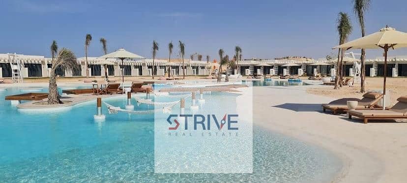 6 40e16e23-15bc-4202-94cb-c34f1799b79a. jpg
