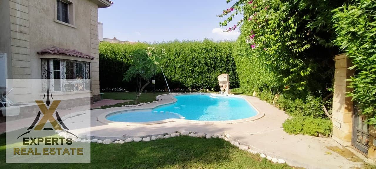 10 d81383b5-8c7f-49eb-85a3-a74eab1ded6b. jpg
