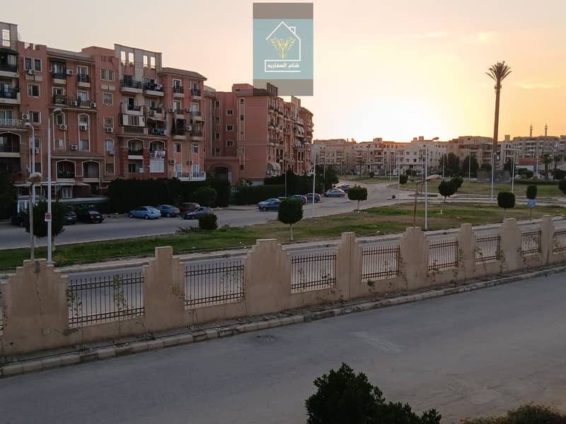 4 ٢٠٢٦٠٤١١_١٨١١٠٣. jpg