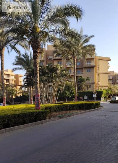 فلیٹ 1 غرفة نوم للبيع في 6 أكتوبر، الجيزة - WhatsApp Image 2026-05-08 at 12.59. 40 PM. jpeg فلیٹ 1 غرفة نوم للبيع في 6 أكتوبر، الجيزة - WhatsApp Image 2026-05-08 at 12.59. 40 PM. jpeg