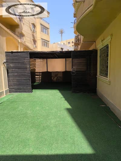 فلیٹ 3 غرف نوم للايجار في القاهرة الجديدة، القاهرة - 399ac09c-e62a-45e8-a803-922d4a4cd9d2. jpg فلیٹ 3 غرف نوم للايجار في القاهرة الجديدة، القاهرة - 399ac09c-e62a-45e8-a803-922d4a4cd9d2. jpg