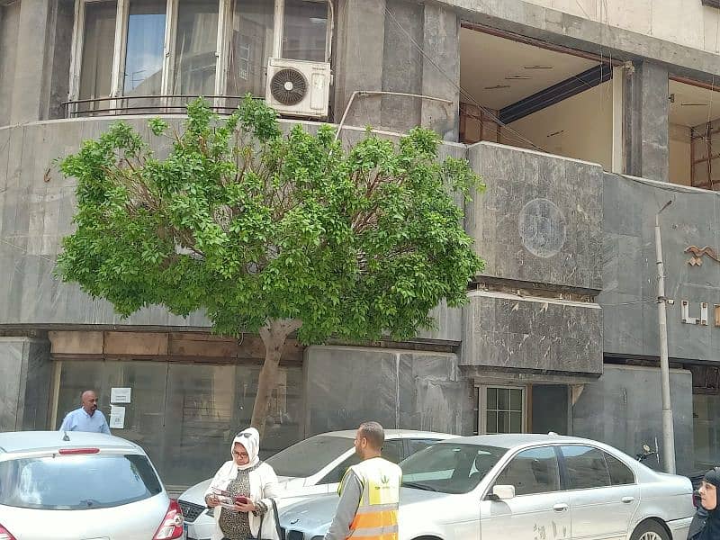 فرصة ذهبية للشركات الكبرى، البنوك، التوكيلات أو الأنشطة الاستثمارية - Ansicht 2