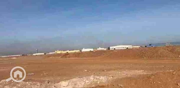 Industrial for Sale in 10th of Ramadan, Sharqia - 1000402644. jpg Industrial for Sale in 10th of Ramadan, Sharqia - 1000402644. jpg