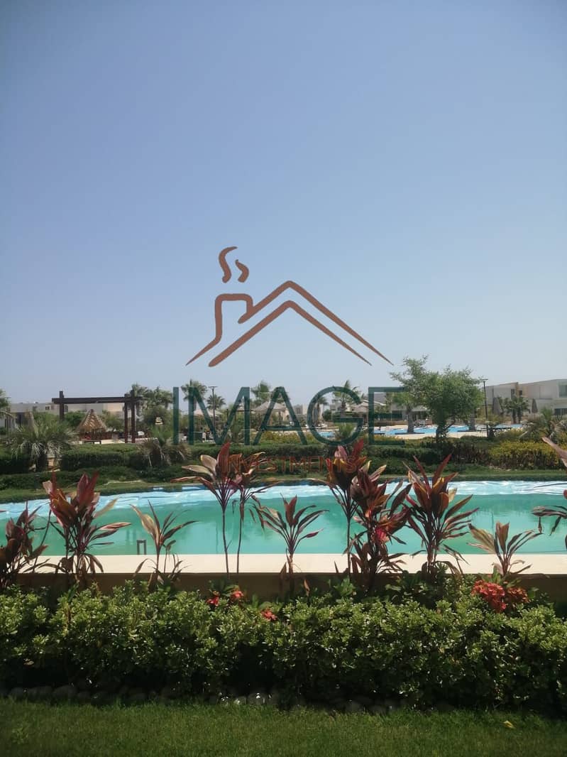 3 74660. jpg