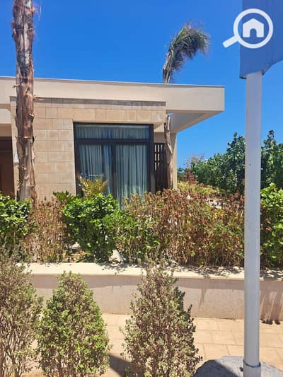 3 Bedroom Townhouse for Sale in North Coast, Matruh - WhatsApp Image 2026-04-14 at 11.47. 26 AM. jpeg 3 Bedroom Townhouse for Sale in North Coast, Matruh - WhatsApp Image 2026-04-14 at 11.47. 26 AM. jpeg