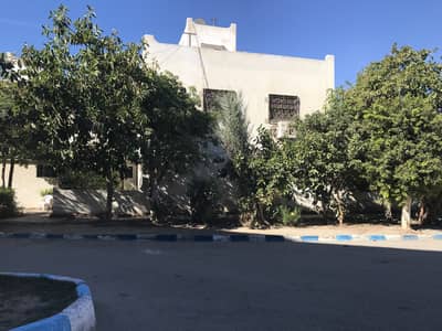 فیلا 3 غرف نوم للبيع في مدينة الإسماعيلية، الإسماعيلية - فيلا للبيع قرية النورس السياحية الإسماعيلية موقع مميز فیلا 3 غرف نوم للبيع في مدينة الإسماعيلية، الإسماعيلية - فيلا للبيع قرية النورس السياحية الإسماعيلية موقع مميز