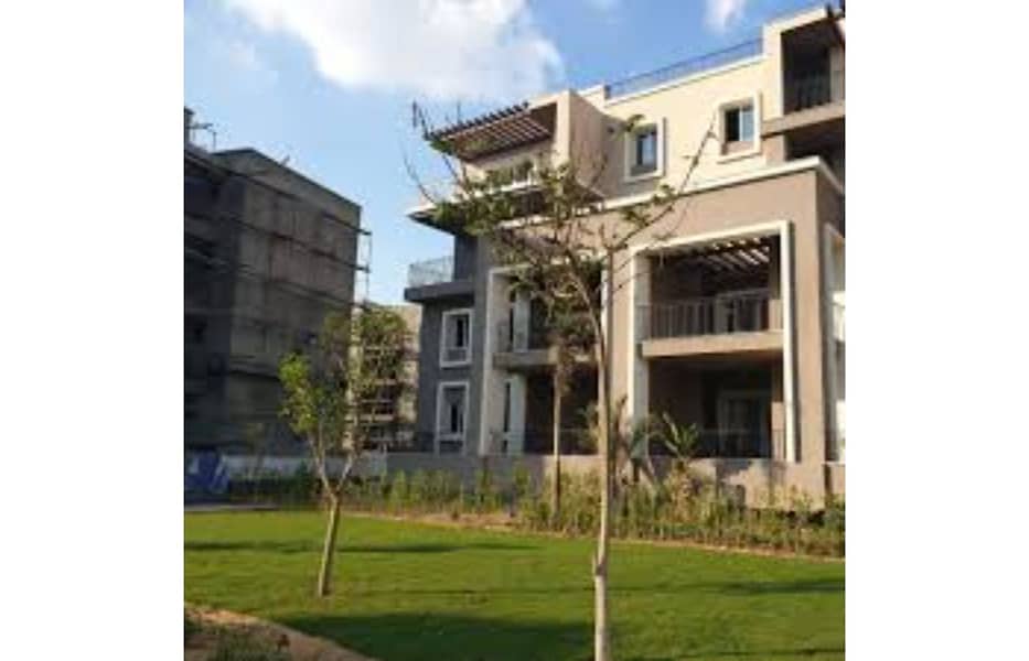 11 images (1). jpg