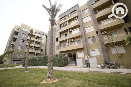 3 Bedroom Apartment for Rent in New Cairo, Cairo - WhatsApp Image 2026-05-10 at 10.03. 27 PM. jpeg
