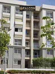 8 IMG_0848. jpg