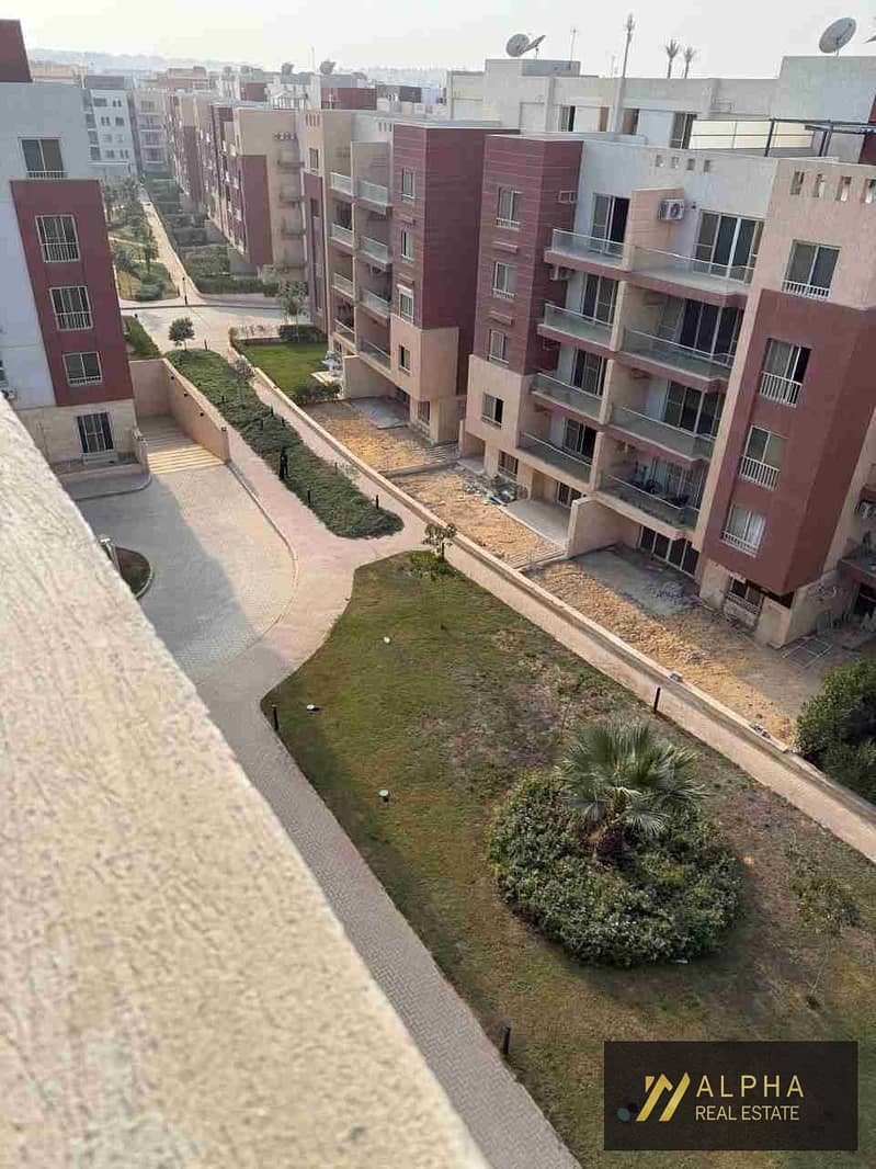 19 1000301854. jpg