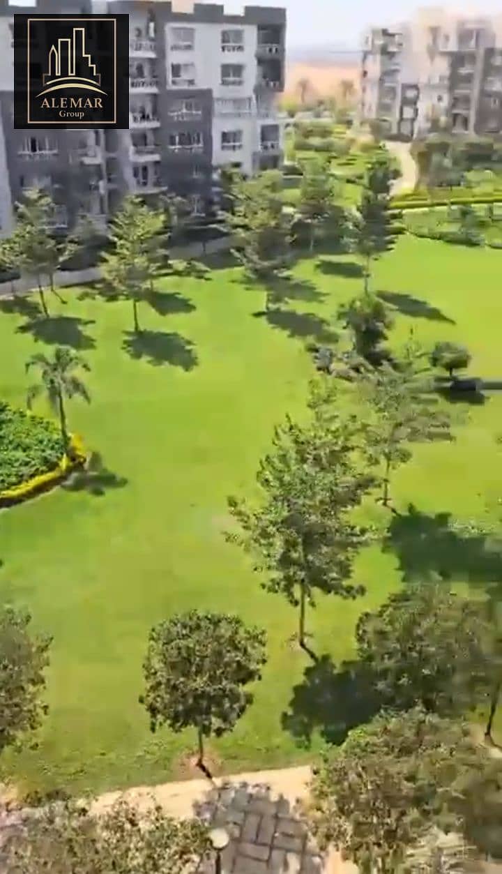 5 1000677362. png