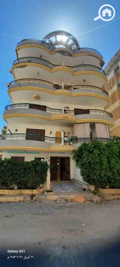 2 Bedroom Apartment for Sale in Nakheel, Alexandria - 1000564201. jpg 2 Bedroom Apartment for Sale in Nakheel, Alexandria - 1000564201. jpg