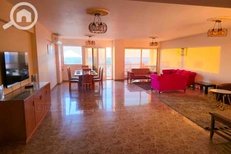 4 Bedroom Apartment for Sale in Sporting, Alexandria - WhatsApp Image 2026-05-05 at 10.43. 27 AM. jpg