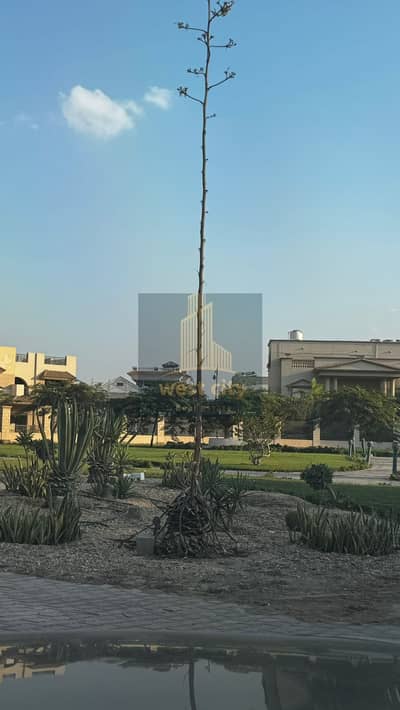 فیلا 4 غرف نوم للبيع في الشيخ زايد، الجيزة - IMG-20251227-WA0105. jpg فیلا 4 غرف نوم للبيع في الشيخ زايد، الجيزة - IMG-20251227-WA0105. jpg