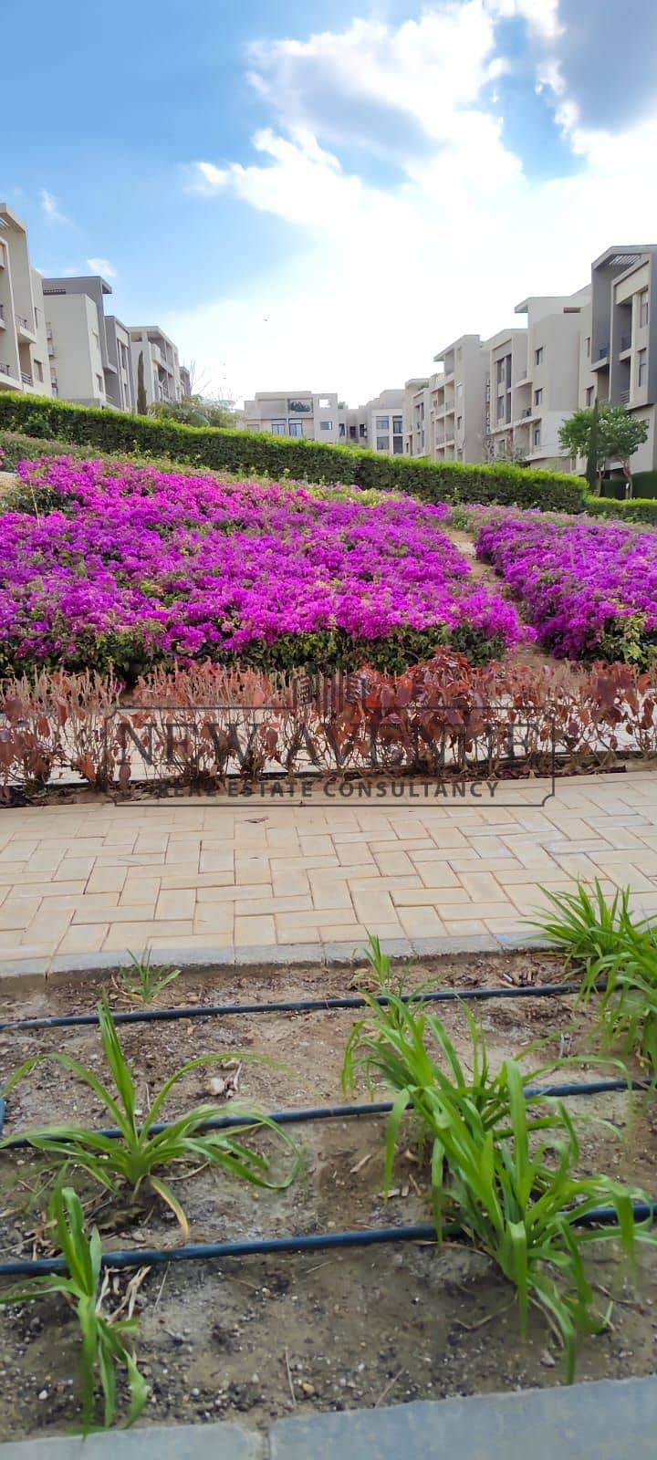 Apartment fully finished |Fifth Square Marasem | with ACs 162 sqm - 3 bedrooms (1 master) + 3 bathrooms + parking | Ready to move in - Mynd 5