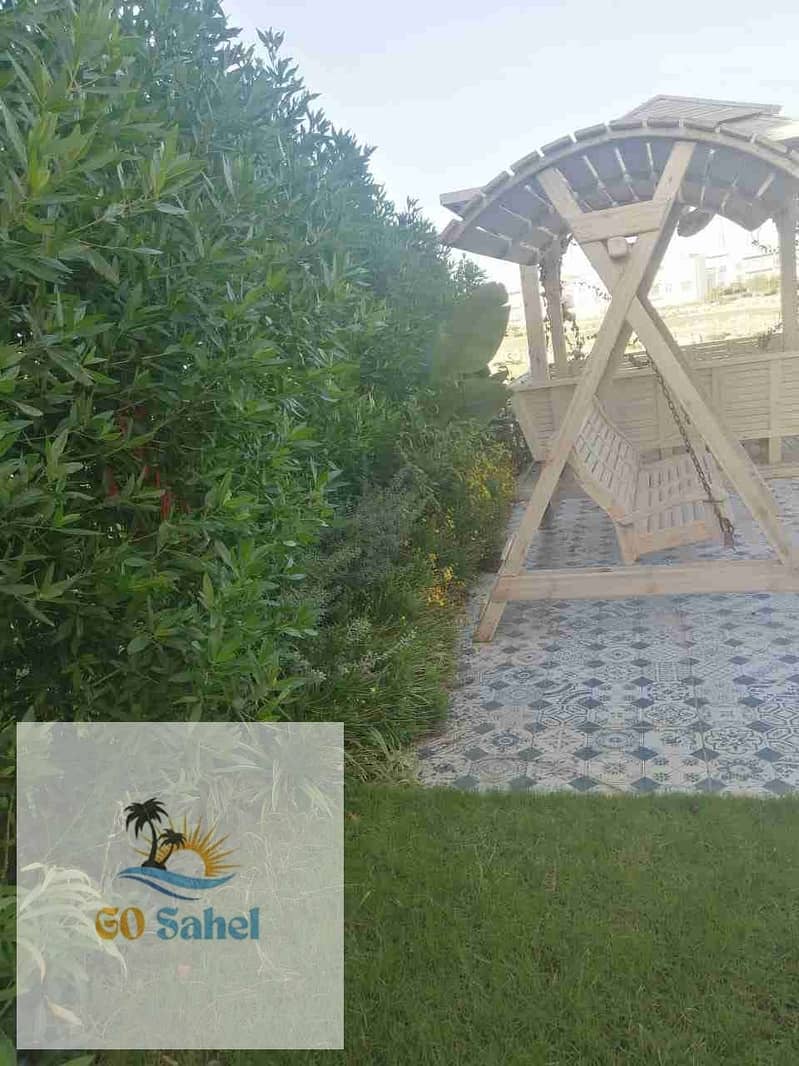 17 40460. jpg