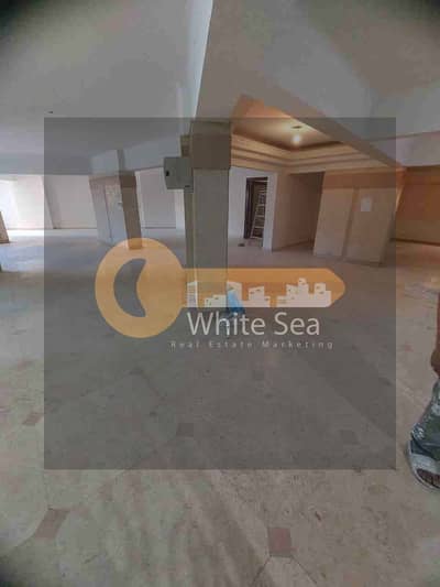 Office for Rent in Smoha, Alexandria - 1000508646. jpg