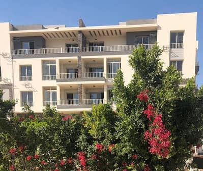 3 Bedroom Flat for Sale in New Cairo, Cairo - Screenshot 2026-05-14 170350. png 3 Bedroom Flat for Sale in New Cairo, Cairo - Screenshot 2026-05-14 170350. png