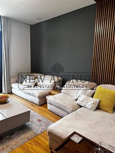 Best price for a furnished apartment 240m in Waterway 1 – pohled 3