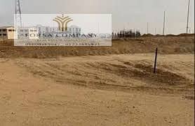 Land for Sale in Tanta, Gharbia - ارض التجمع الثالث. jpeg Land for Sale in Tanta, Gharbia - ارض التجمع الثالث. jpeg