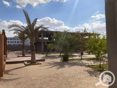 Retail for Sale in Sheikh Zayed, Giza - 4db64881-262a-42e7-8375-f038c370c78c. jpg Retail for Sale in Sheikh Zayed, Giza - 4db64881-262a-42e7-8375-f038c370c78c. jpg