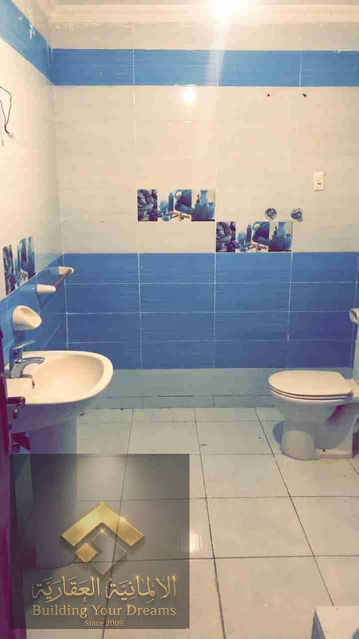 3 244335. jpg