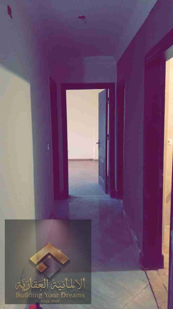 4 244331. jpg