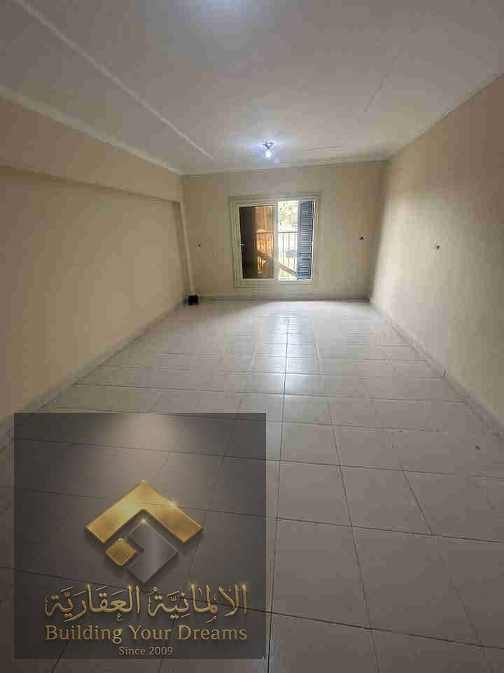 6 215193. jpg