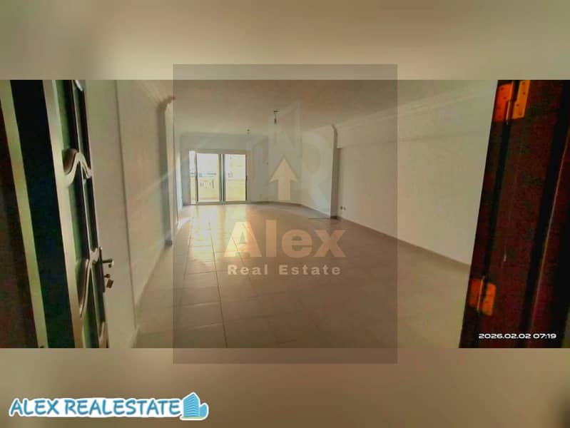 For administrative rent in Smoha, the Golden Square, administrative license. – pohled 2