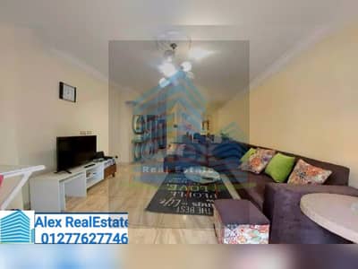 3 Bedroom Flat for Rent in Cleopatra, Alexandria - IMG-20250412-WA0004. jpg 3 Bedroom Flat for Rent in Cleopatra, Alexandria - IMG-20250412-WA0004. jpg
