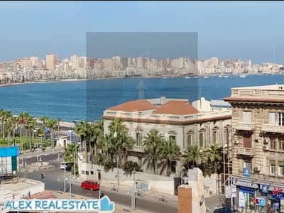 Clinic for Rent in Raml Station, Alexandria - IMG-20260418-WA0047. jpg Clinic for Rent in Raml Station, Alexandria - IMG-20260418-WA0047. jpg