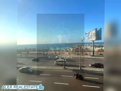 Office for Rent in Laurent, Alexandria - IMG-20260422-WA0076. jpg
