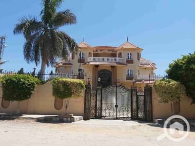 10+ Beds Villa for Sale in King Mariout, Alexandria - 283046. jpg