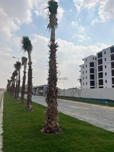 فلیٹ 2 غرفة نوم للبيع في القاهرة الجديدة، القاهرة - WhatsApp Image 2026-04-14 at 4.32. 57 PM (6). jpeg فلیٹ 2 غرفة نوم للبيع في القاهرة الجديدة، القاهرة - WhatsApp Image 2026-04-14 at 4.32. 57 PM (6). jpeg
