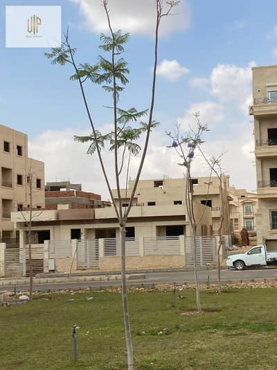فیلا 10+ غرف نوم للبيع في القاهرة الجديدة، القاهرة - WhatsApp Image 2026-04-29 at 1.07. 31 PM. jpeg