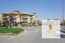 Studio for Rent in New Cairo, Cairo - 1. jpg Studio for Rent in New Cairo, Cairo - 1. jpg