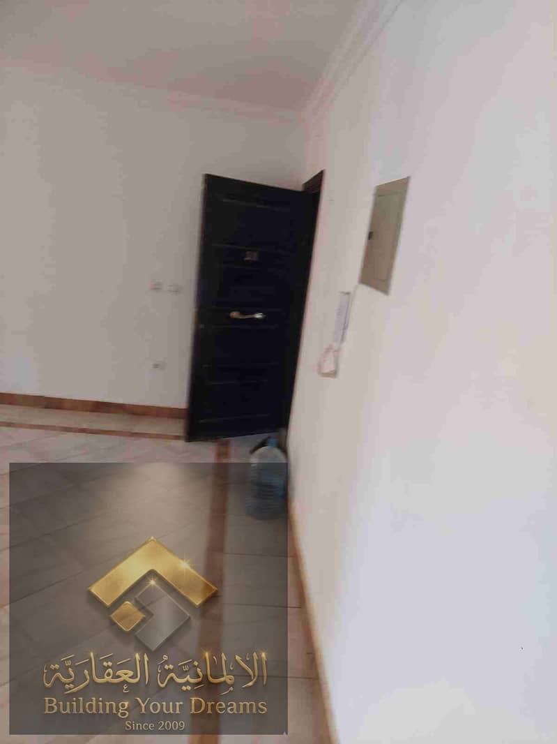3 244824. jpg