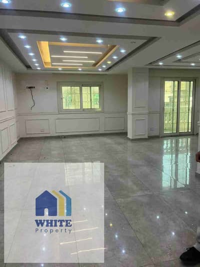 4 Bedroom Flat for Rent in Dokki, Giza - 1000828266. jpg