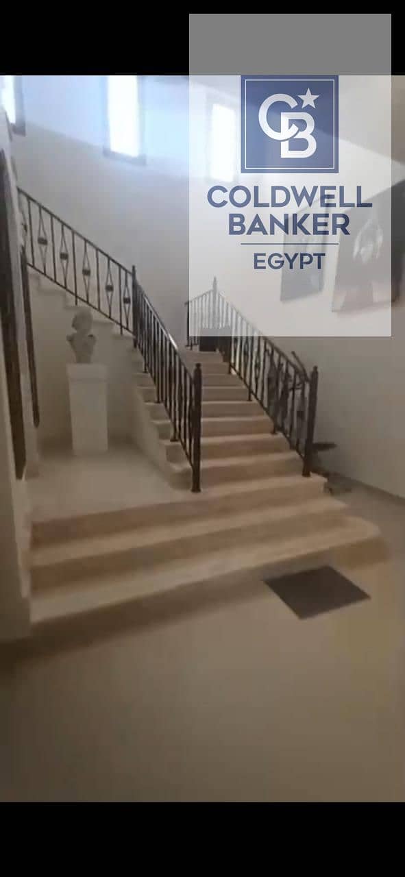 6 1000459761. jpg