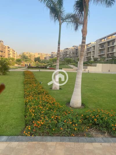2 Bedroom Flat for Rent in New Cairo, Cairo - 318783. jpg 2 Bedroom Flat for Rent in New Cairo, Cairo - 318783. jpg