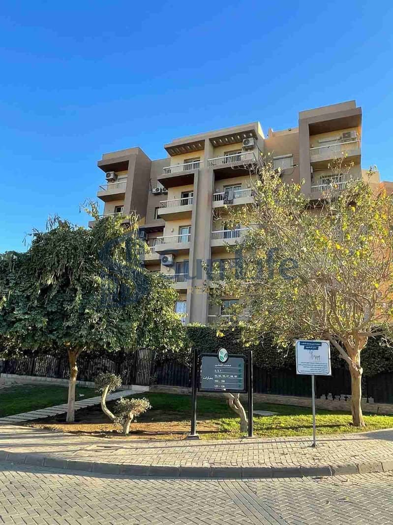 13 22320. jpg