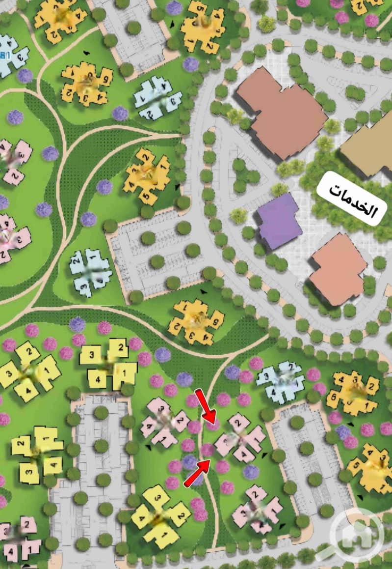 2 68266. jpg