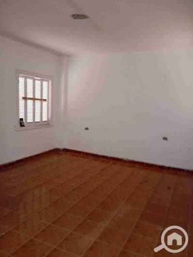 شقة 2 غرفة نوم للايجار في كليوباترا، الإسكندرية - IMG-20260510-WA0010. jpg شقة 2 غرفة نوم للايجار في كليوباترا، الإسكندرية - IMG-20260510-WA0010. jpg