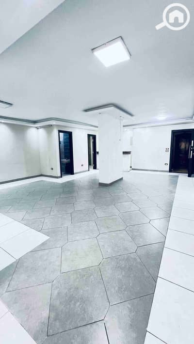 Office for Rent in Zizinia, Alexandria - 477. jpg Office for Rent in Zizinia, Alexandria - 477. jpg
