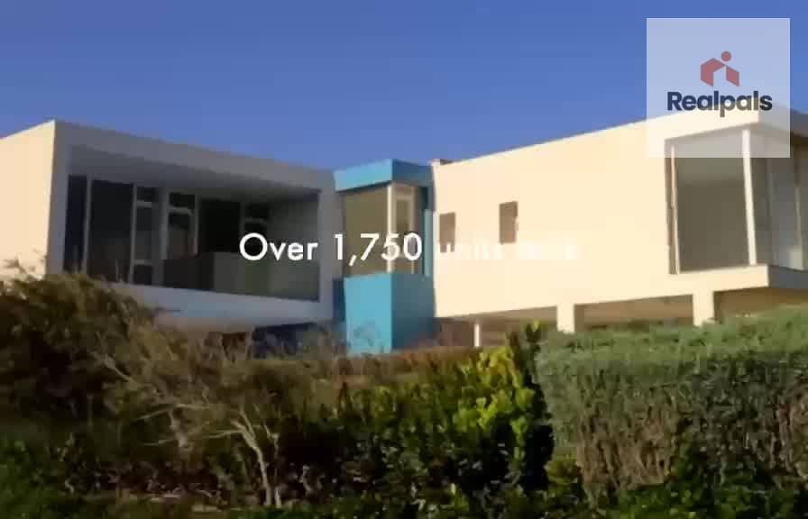 8 0007. jpg