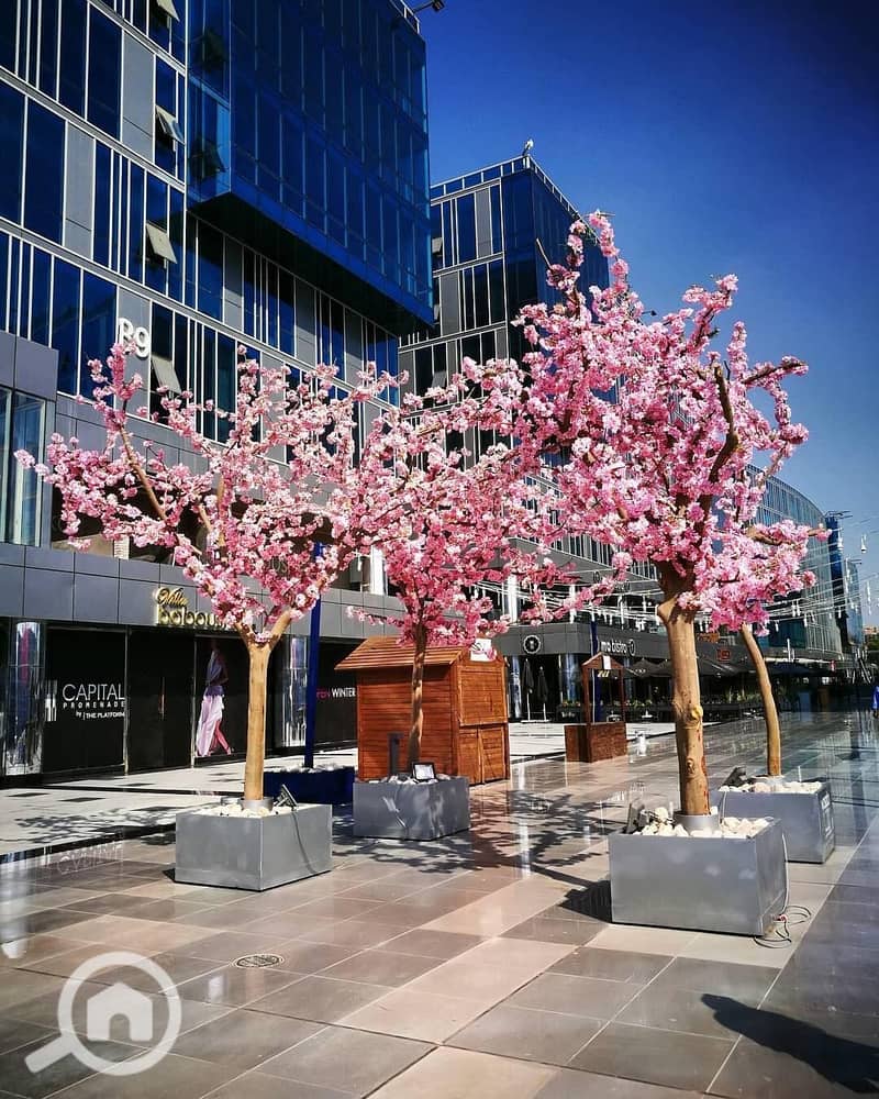 Administrative Office for Rent in Capital Business Park – Sheikh Zayed - Ansicht 4