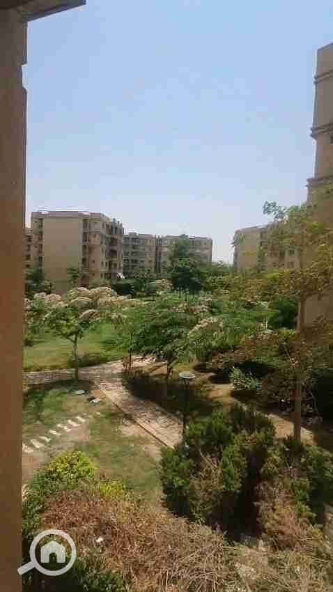 25 vf_VID-20250813-WA0075_148000. jpeg