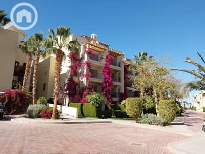 1 Bedroom Chalet for Sale in Sahl Hasheesh, Red Sea - 20240130_143536. jpg 1 Bedroom Chalet for Sale in Sahl Hasheesh, Red Sea - 20240130_143536. jpg