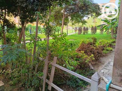 3 Bedroom Apartment for Sale in Madinaty, Cairo - 18627. jpg 3 Bedroom Apartment for Sale in Madinaty, Cairo - 18627. jpg